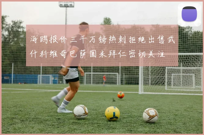 海鸥报价三千万镑热刺拒绝出售武什科维奇巴萨国米拜仁密切关注